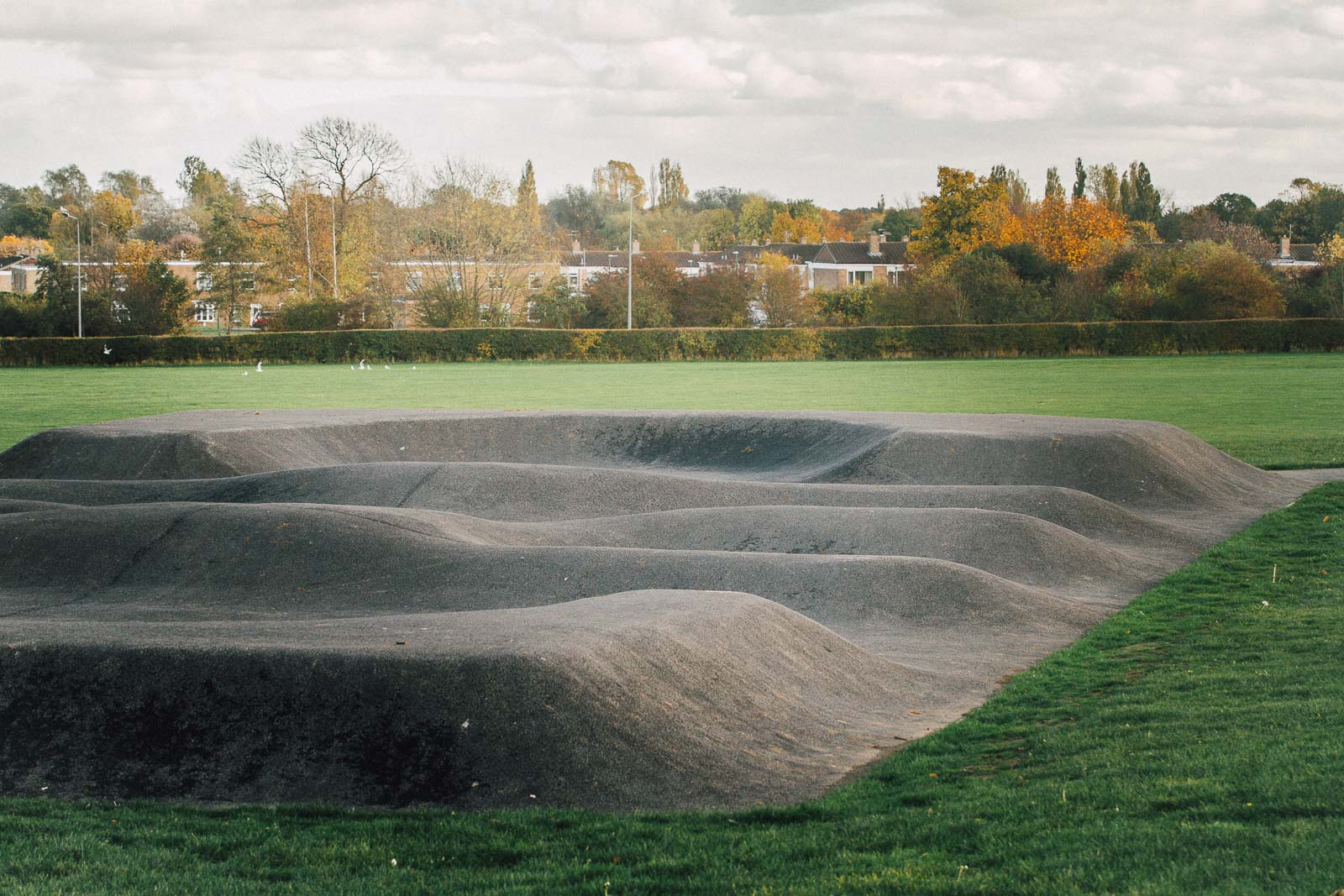 Gallery | Scoot Park